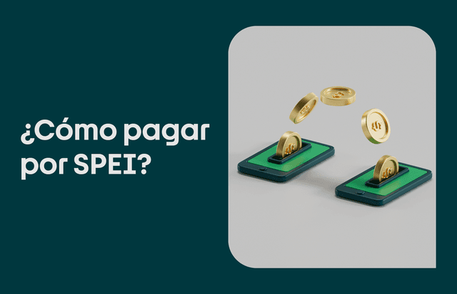 ¿Cómo pagar por medio de transferencia SPEI?