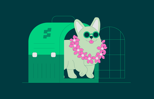 Esto debes hacer para viajar en avión con tu perro