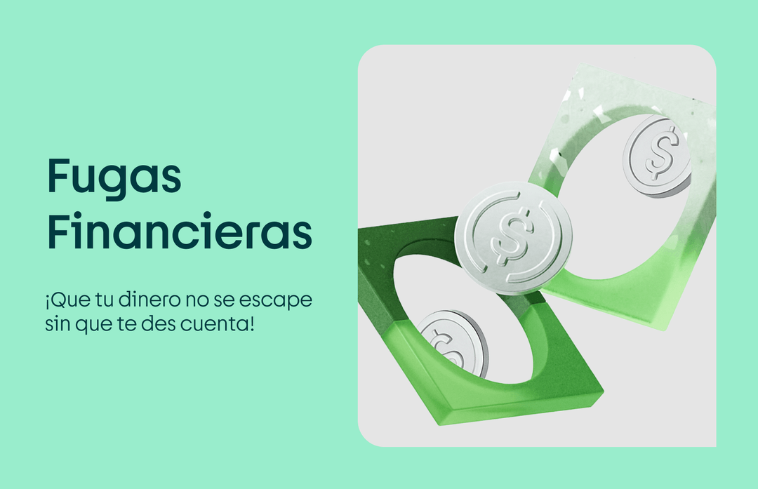fugas financieras