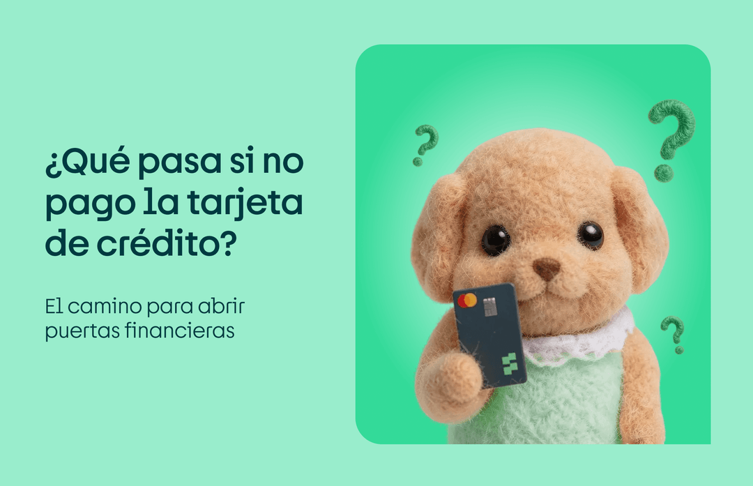 que pasa si no pago la tarjeta de credito 2