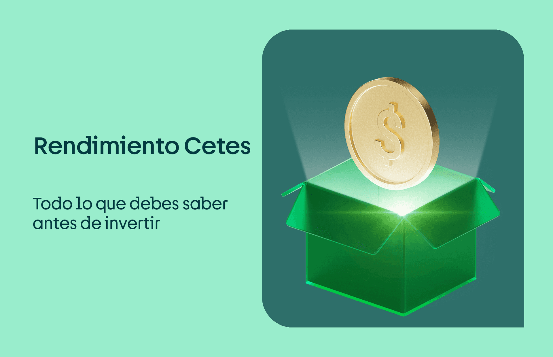 Rendimiento Cetes: lo que debes saber antes de invertir